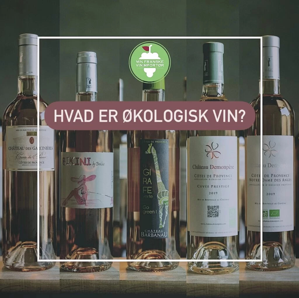 Hvad er økologisk vin?