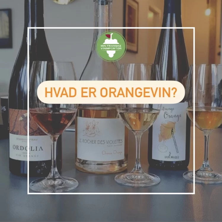 Hvad er orangevin?