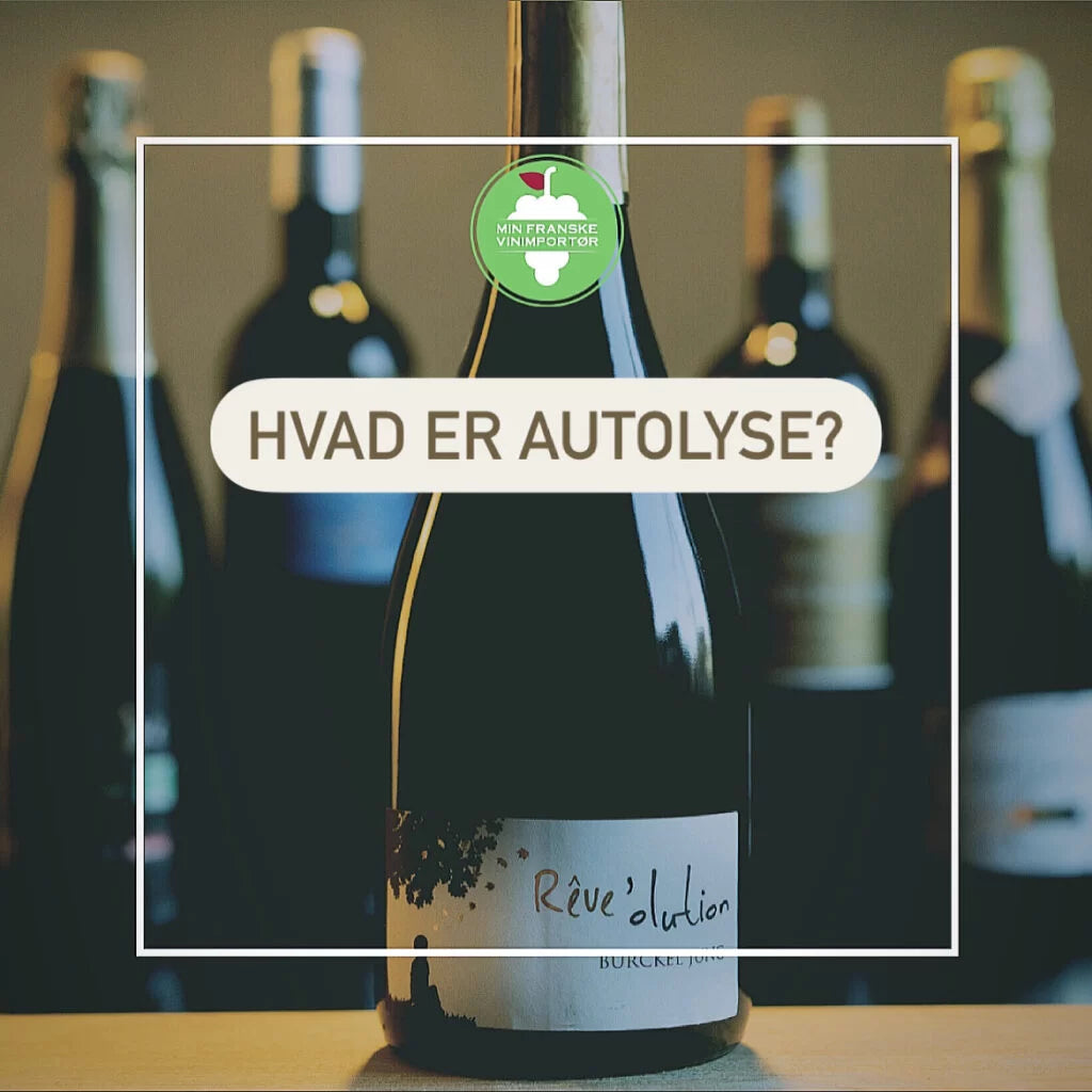 Hvad er autolyse?