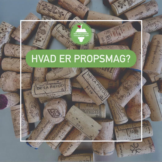 Hvad er propsmag?